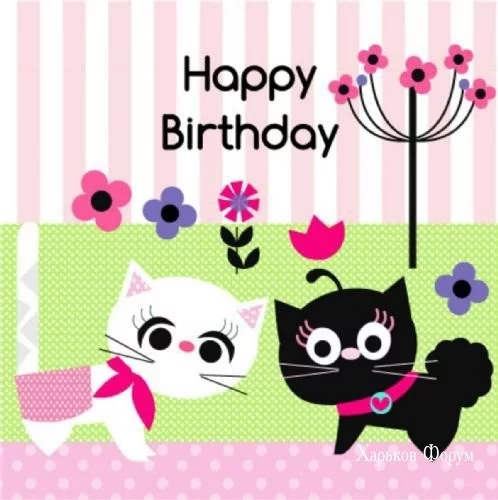 280538dd959aefa2487f.webp