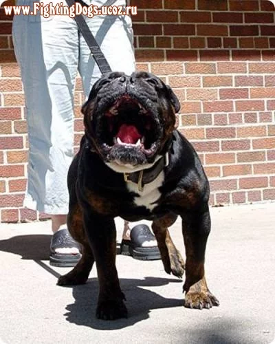 281008544.webp