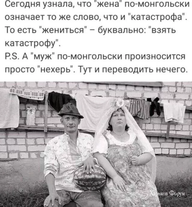 28110da7d468f59d01071.webp