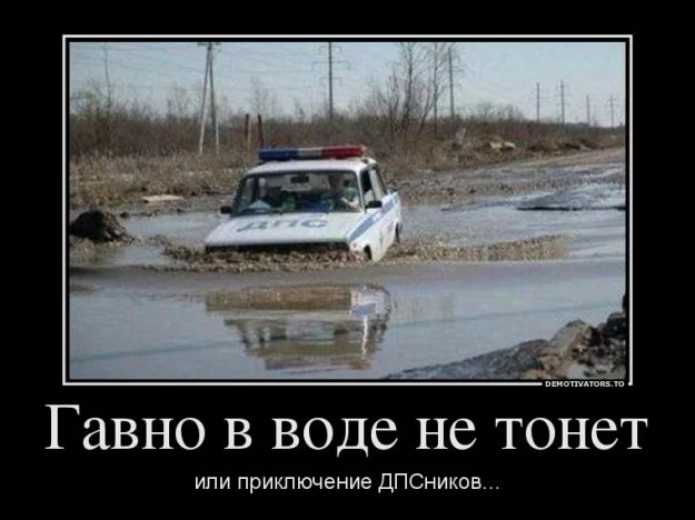 281457_682845.webp