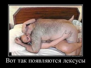 281457_682858.webp