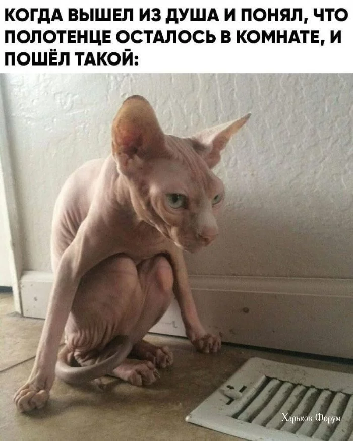 281bae7d6d7d45a67539d.webp