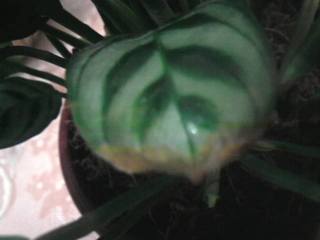 2829624_m.webp