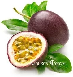 282bc57ec4d3a341.webp