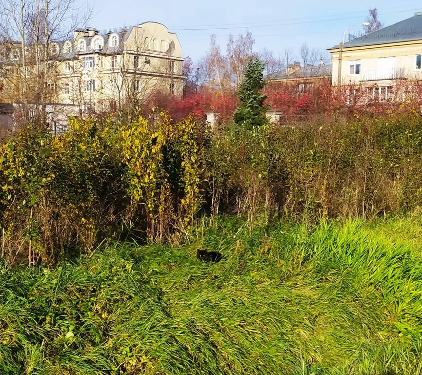 28320565.webp