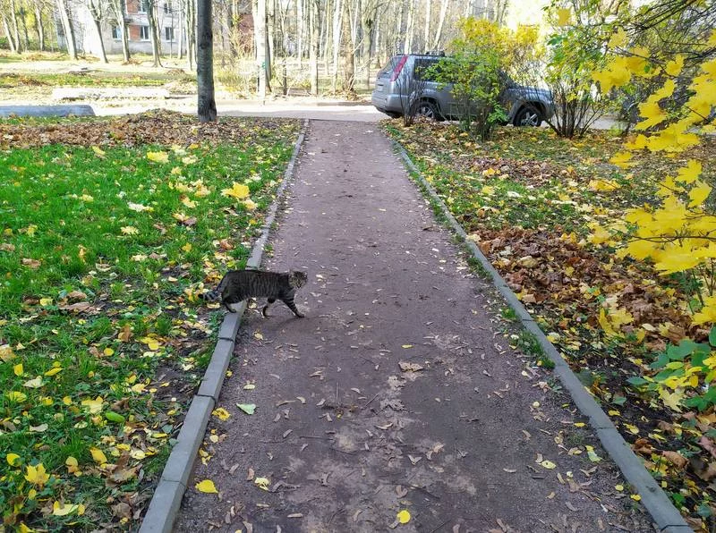 28330208.webp
