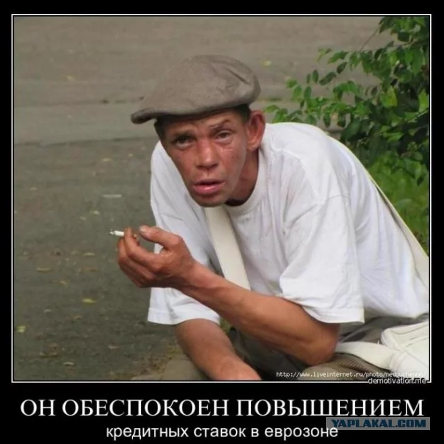 2835130.webp