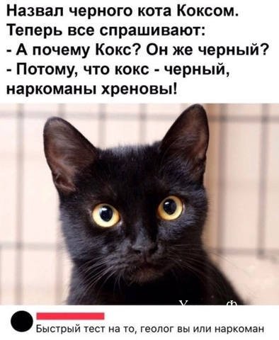 283e6882a0c021c106.jpg