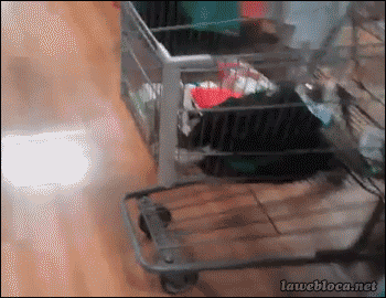 284307_696795.gif