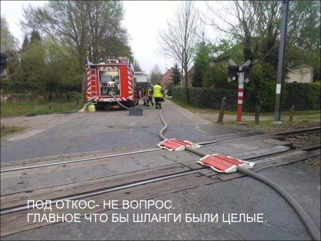 284349_697368.webp