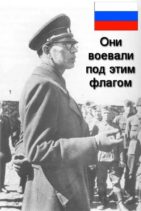 284569.webp