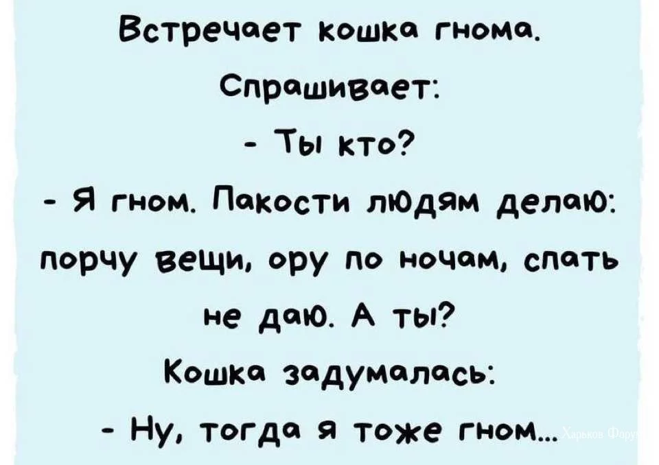 28508cfb7a023b77e6eb6d.webp