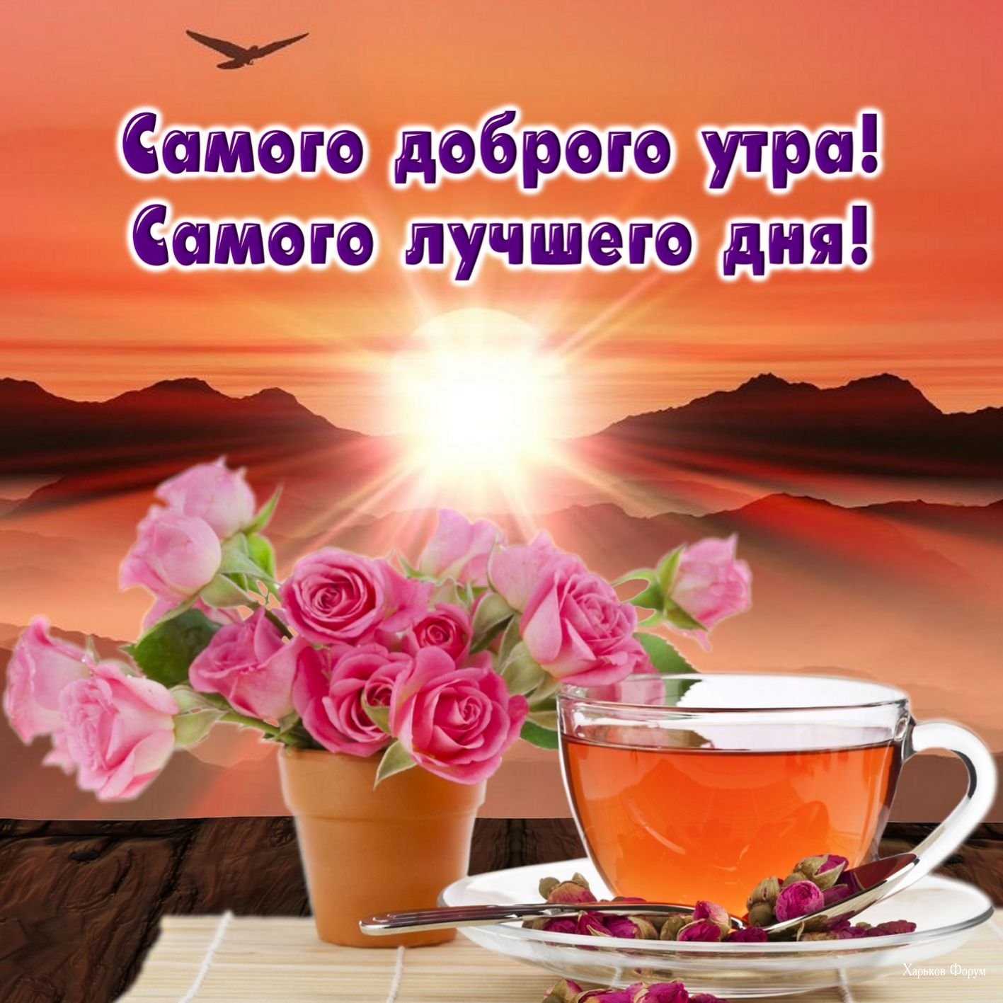 2856a90b7a921c14436724.jpg