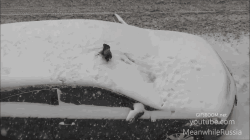 2860af9e0798a74c1023.gif