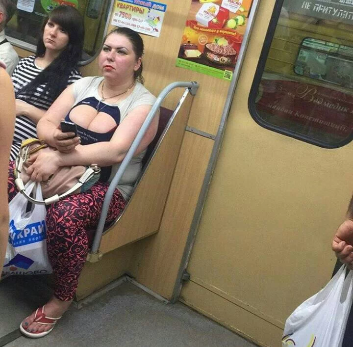 2879feecd963ead50256be7a567278cf.webp