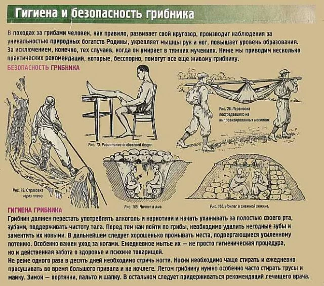 288447.webp