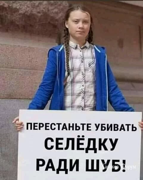 288617446edc3dd401226556.webp