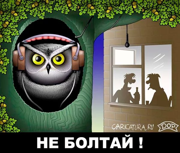 289.webp