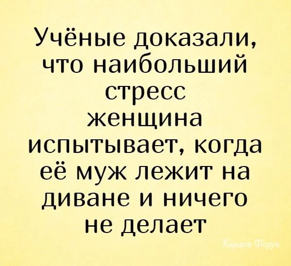 28964424710e889dd.webp