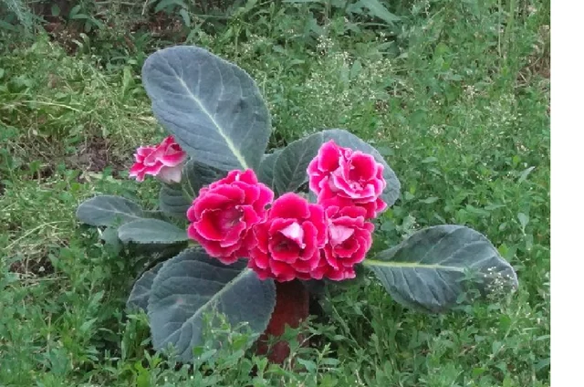 2899587_m.webp