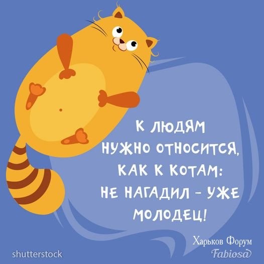 289c33f8664fa4d83.jpg