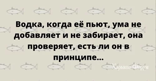 28b499534390d6e60dd7259e.webp