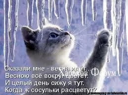 28c32a29d4196870887d.webp