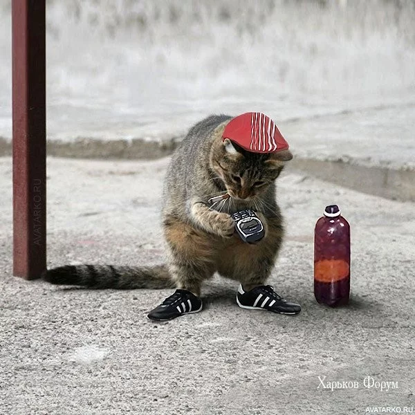 28c922f0f686390eb6.webp