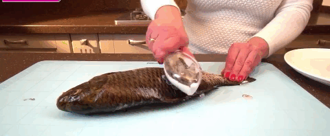 28d854c76a1fd87d52.gif