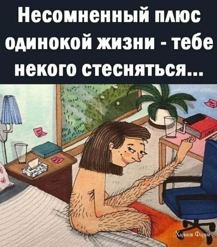 28daceb21ea185ddd.webp