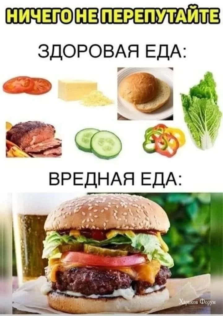 28dd1778dadce6bbe5de906.webp