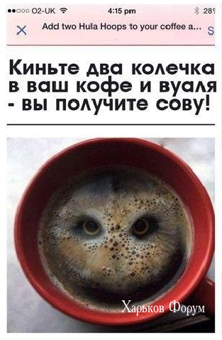 28eb9a6074bdb09ec7c4.png