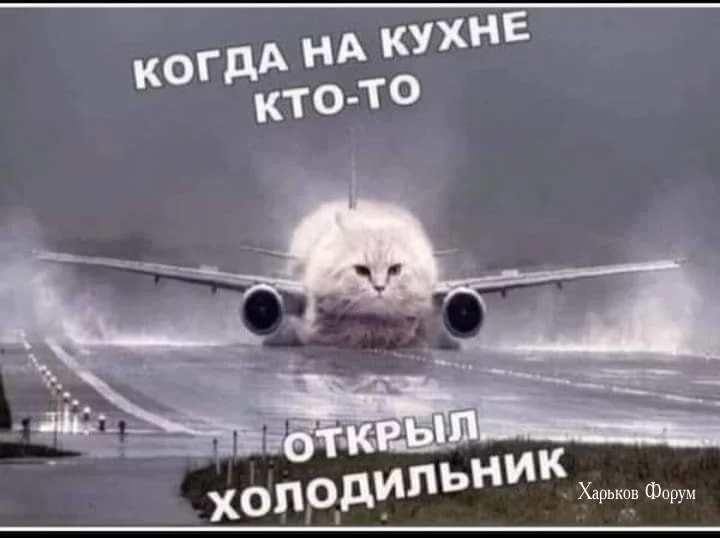 2907f8962d8b66983.webp