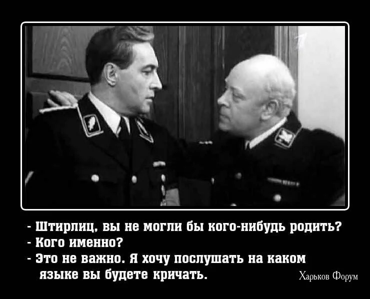 290a90d43d986ccc.webp