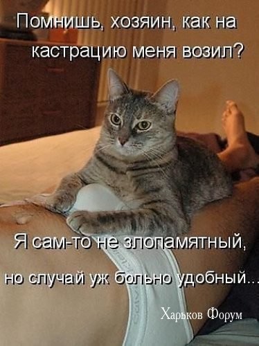 2910e94a1b5926d6.jpg