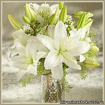 29126777.webp