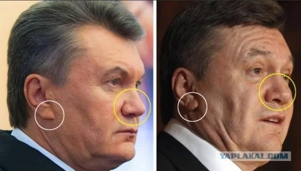 2912921.webp