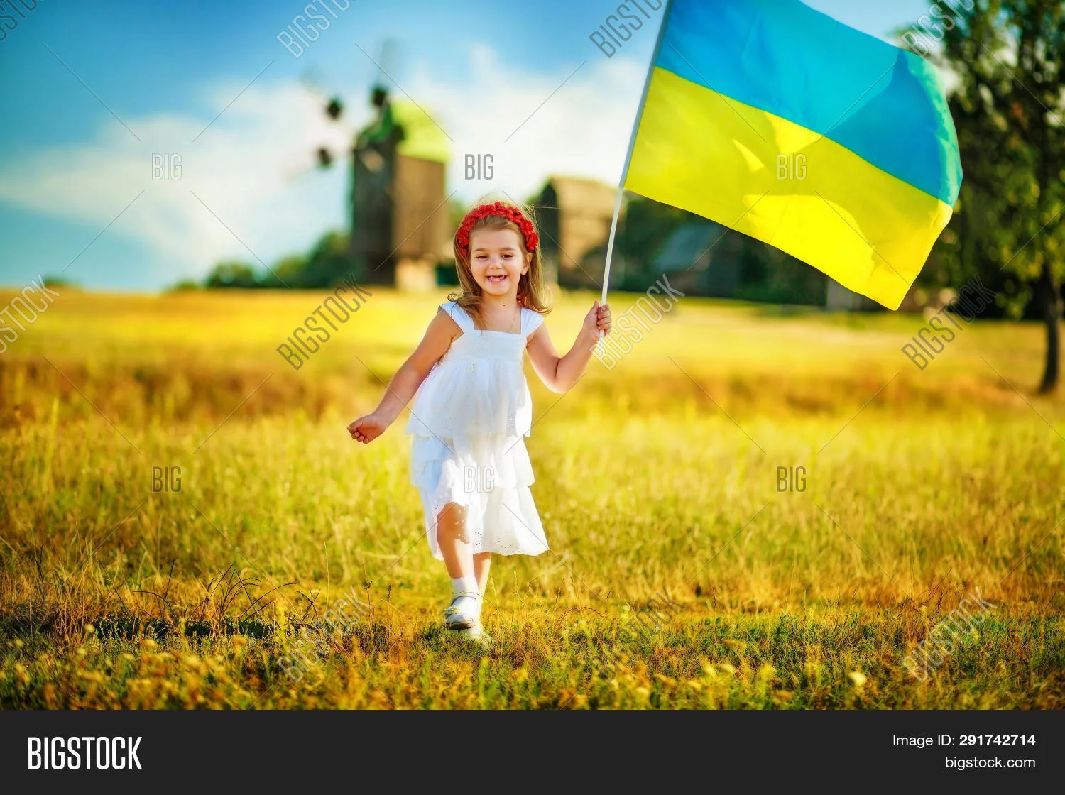 291742714.webp