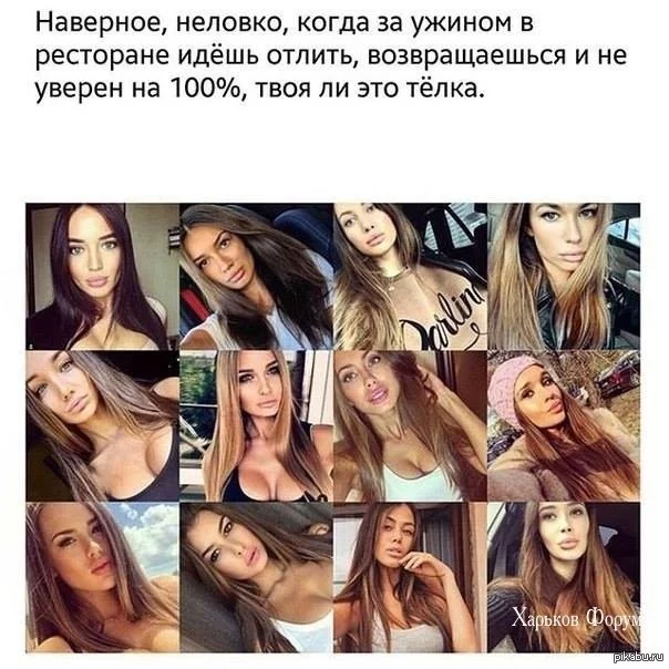 292f6d8a026a41c7e857.webp