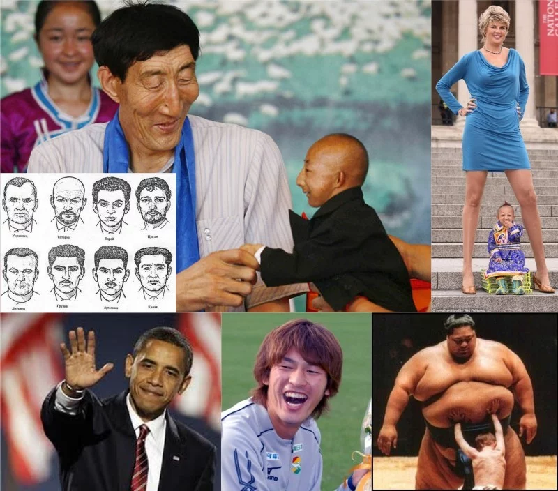 293022P2.webp