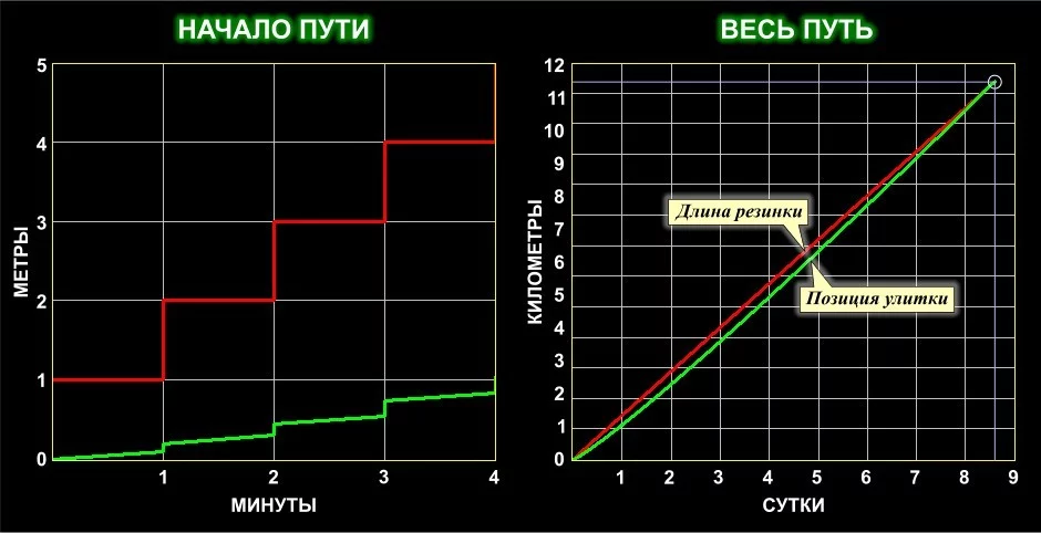 29323Ulitka.webp