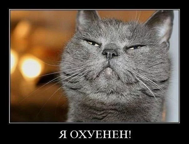2935.webp