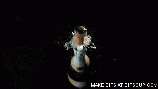 293f3b0e27c83758.gif