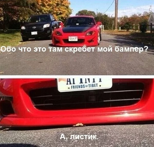 295367_774968.webp