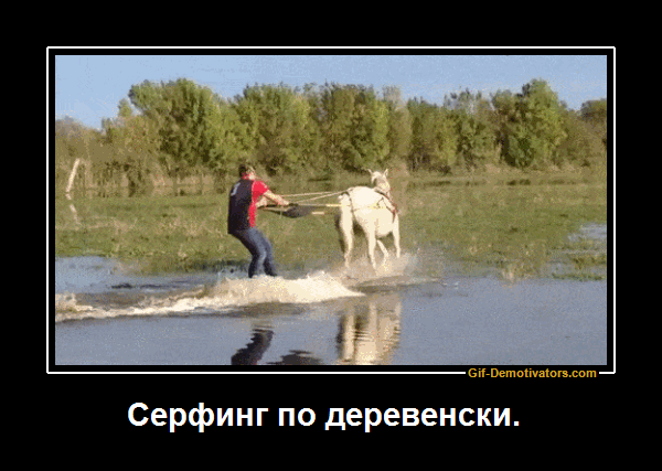 295426_775553.gif