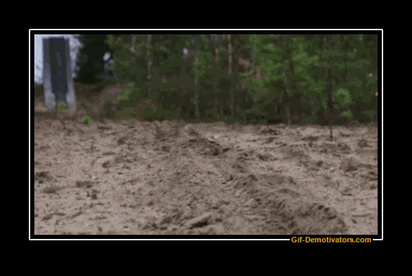 295426_775557.gif
