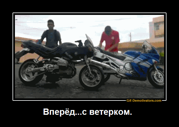 296132_780247.gif