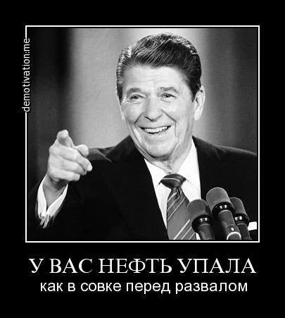 296489_783070.webp