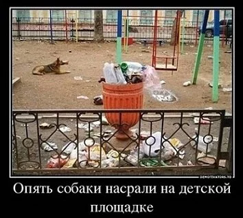 2983431.webp
