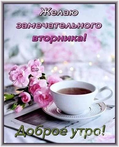 298c532acd028faa8a64faf.webp